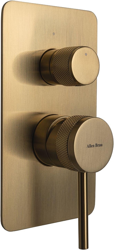 Смеситель для душа Allen Brau Priority 5.31011-GB цвет Золото
