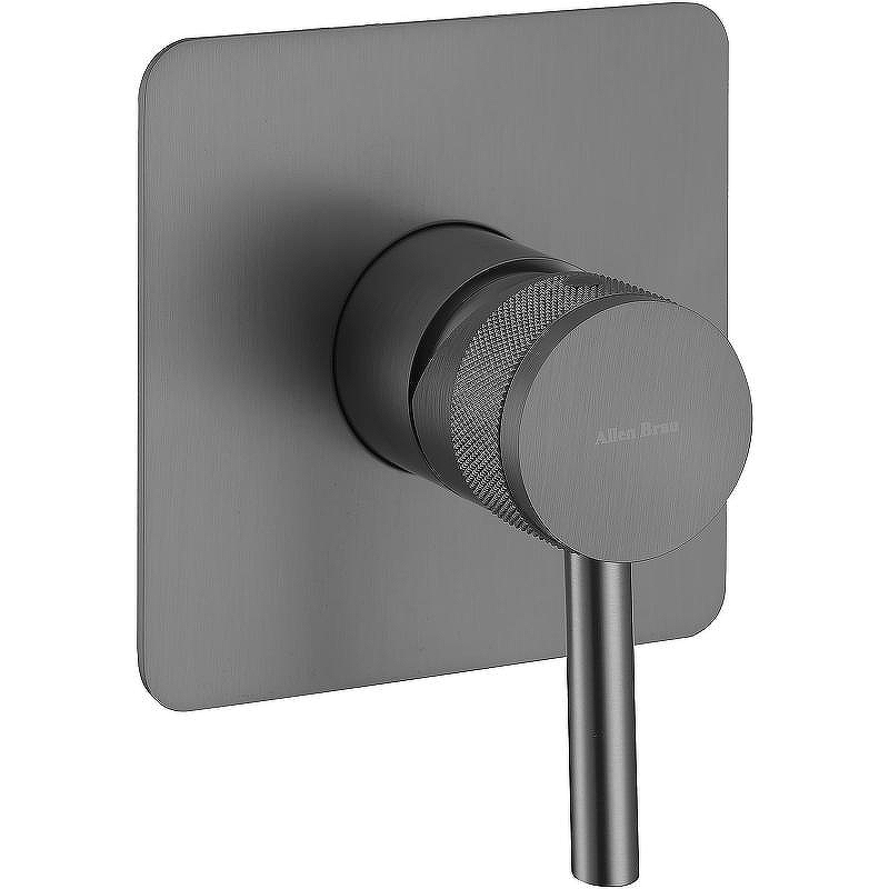 Смеситель для душа Allen Brau Priority 5.31012-MG Графит брашированный