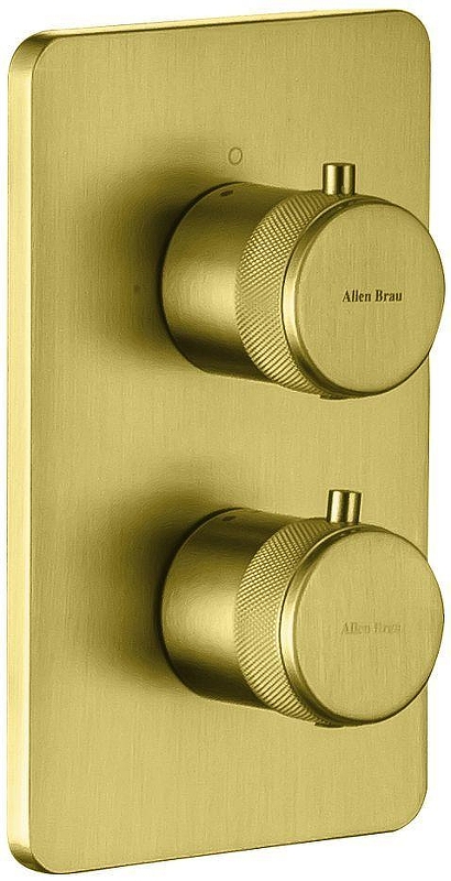 Смеситель для душа Allen Brau Priority 5.31213-GB с термостатом цвет Золото