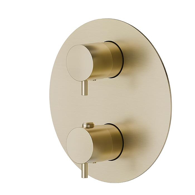 Смеситель для душа Newform X-Steel 316 69663EX.59.098 с термостатом цвет Pale Gold