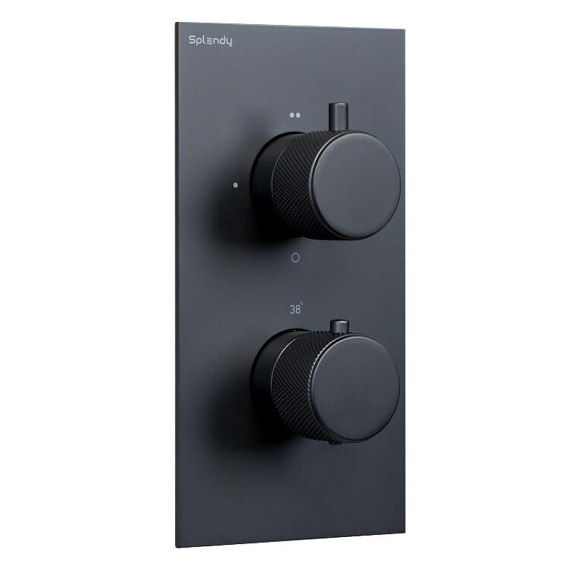 Смеситель для душа Splendy Passion PA204U2T3BM с термостатом цвет Черный матовый