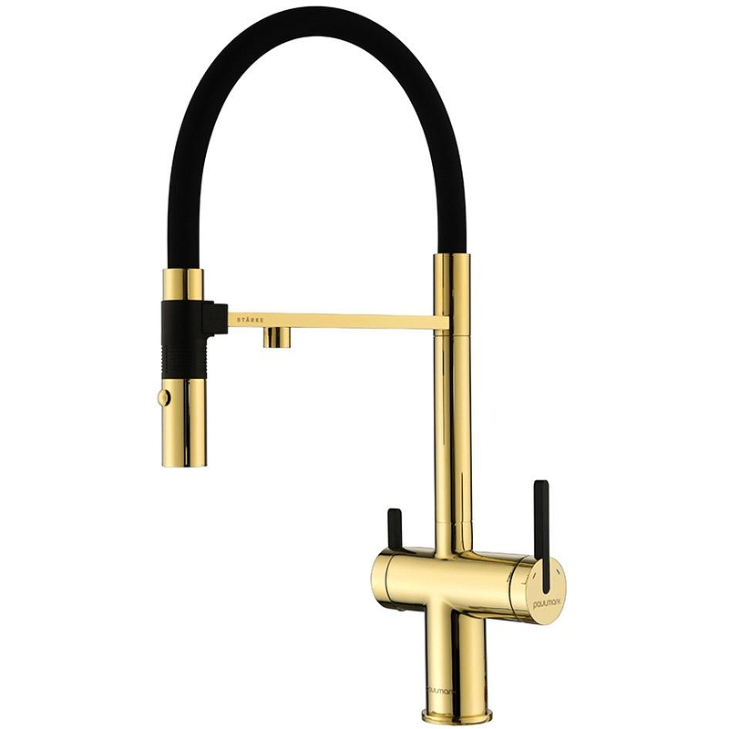 Смеситель для кухни Paulmark Gravity Gr213888-G Золото