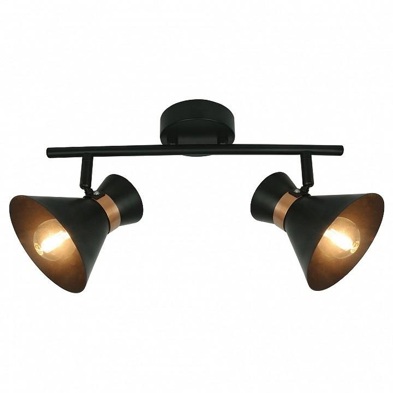 Спот Artelamp Balt1more A1406AP-2BK цвет плафона/подвески Черный, цвет арматуры Золото, Черный