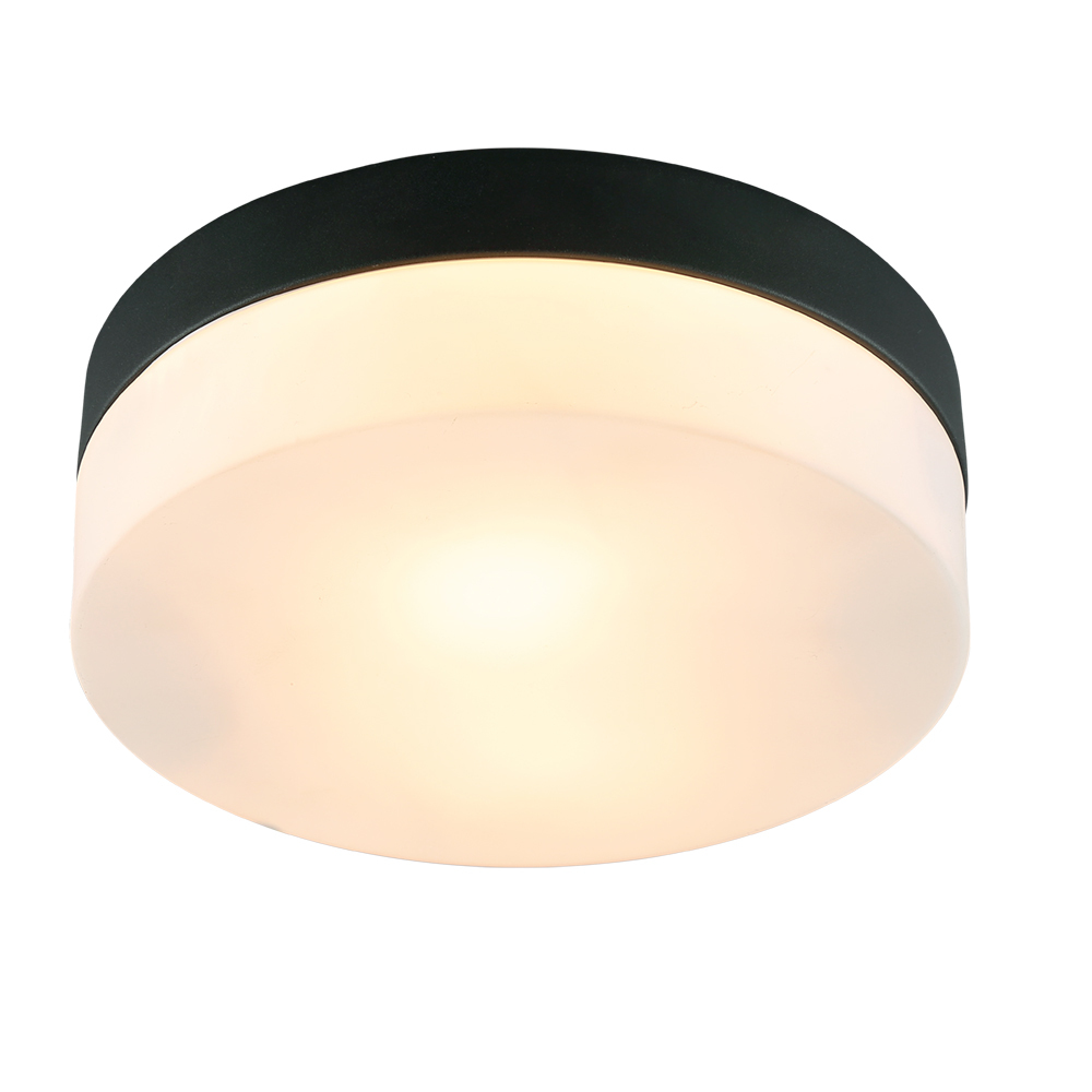Светильник Arte Lamp Aqua-Tablet 120 Вт IP44 (A6047PL-2BK)