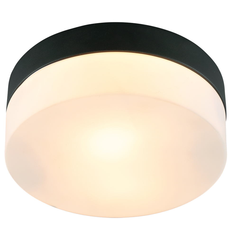Светильник Arte Lamp Aqua-Tablet 60 Вт IP44 (A6047PL-1BK)