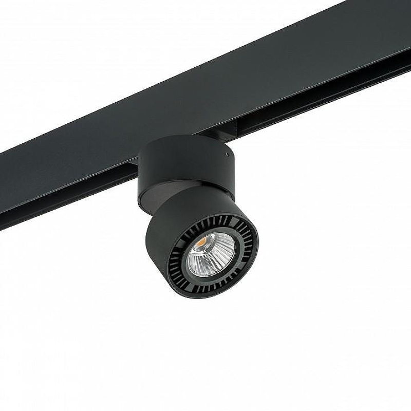 Светильник на штанге Lightstar Forte Muro PRO213817 цвет плафона/подвески Черный, цвет арматуры Черный