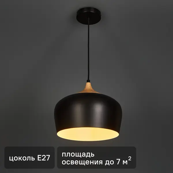 Светильник подвесной KREAFORTA Omolon цвет черный