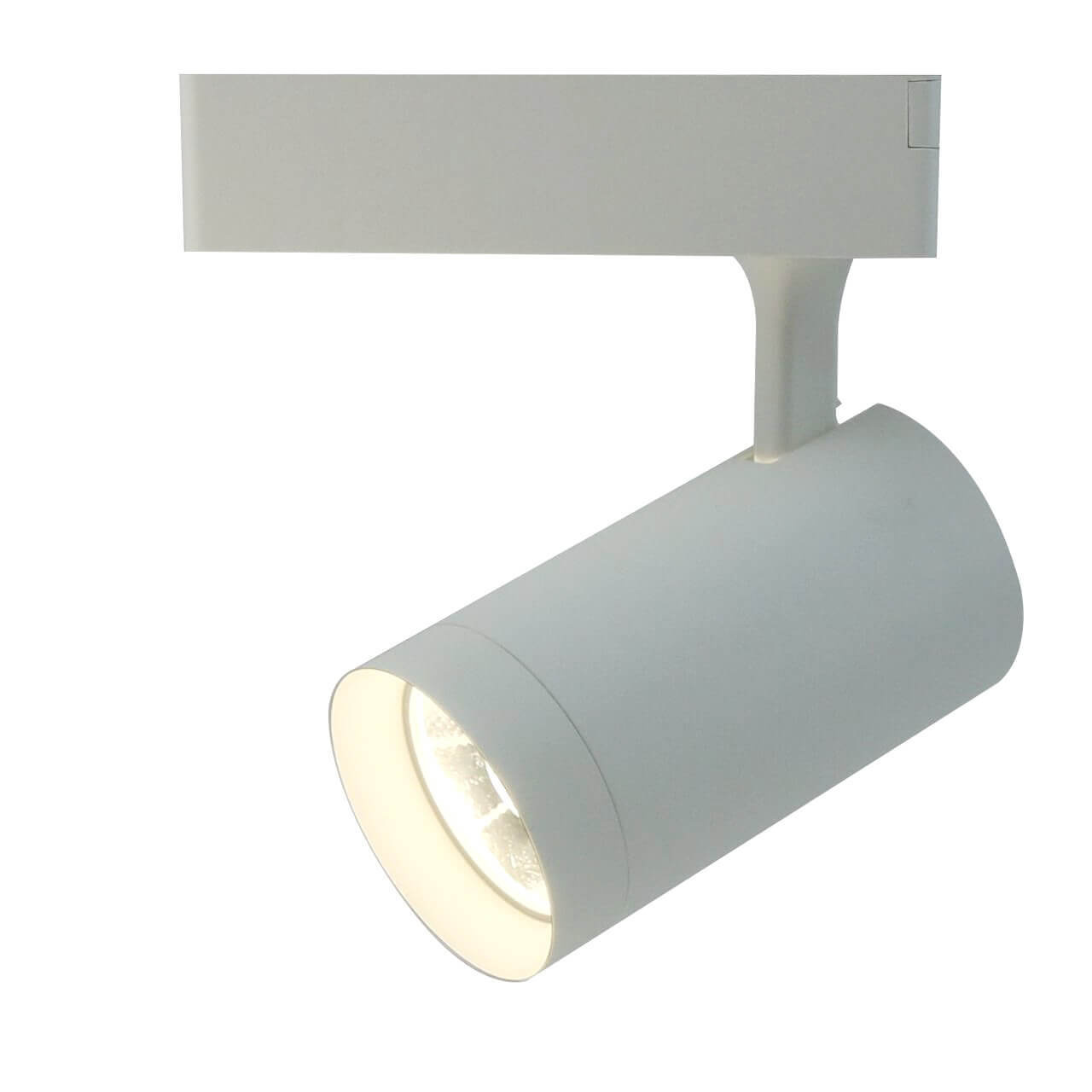 Светильник потолочный Artelamp A1720PL-1WH