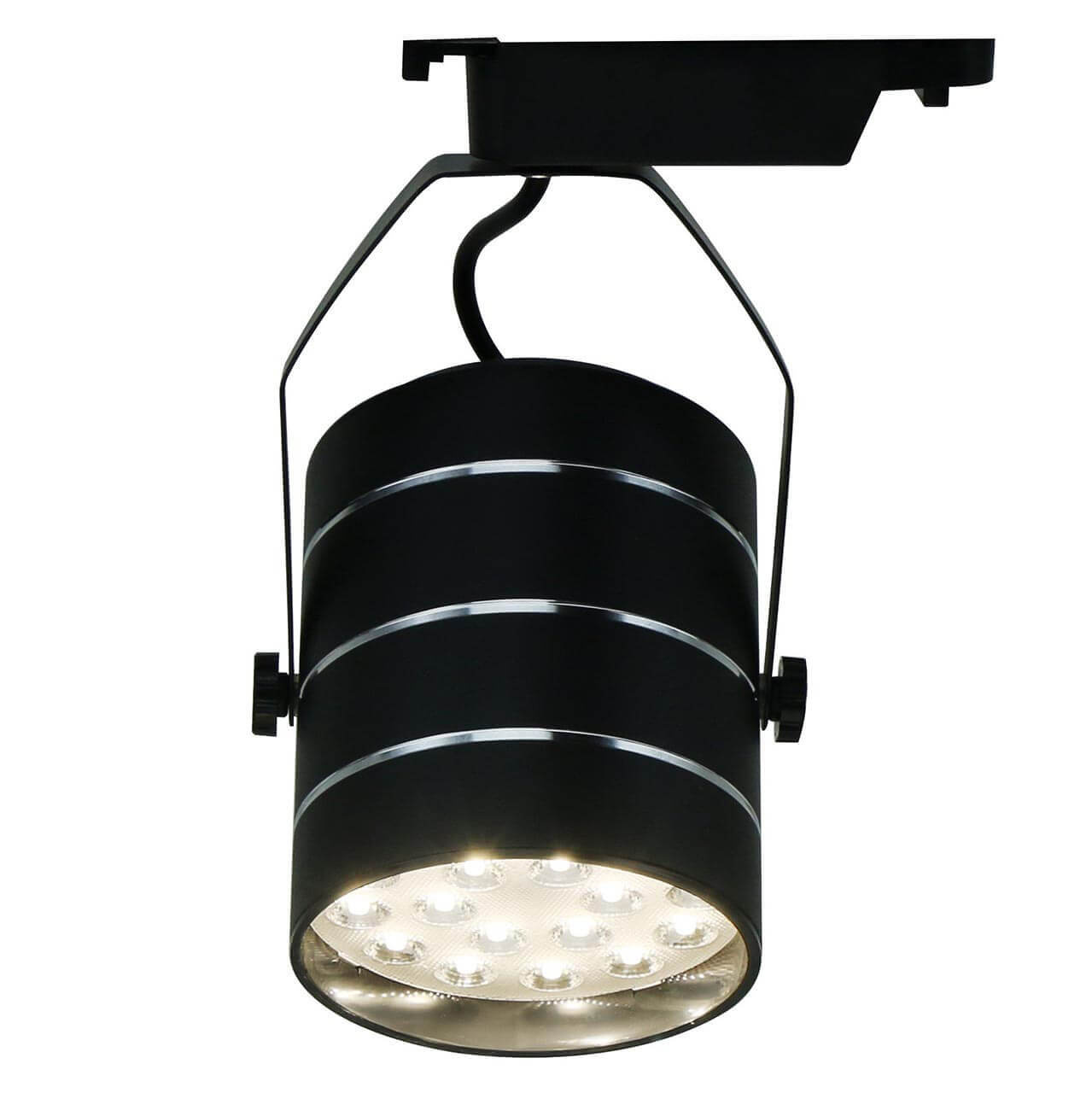 Светильник потолочный Artelamp A2718PL-1BK