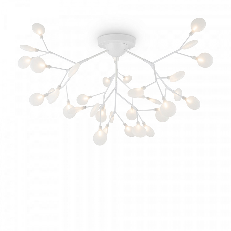 Светильник потолочный Freya Florencia FR5049CL-36W1