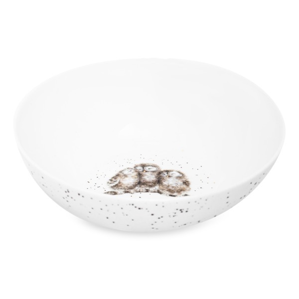 Тарелка для каши Royal Worcester Забавная фауна Сова 15 см