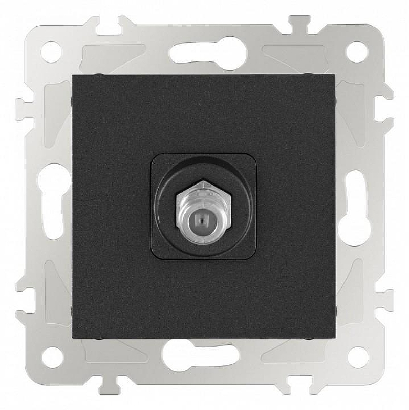 ТВ-розетка без рамки Arte Milano am-203 203.42-1.black цвет Черный
