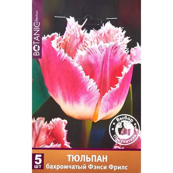Тюльпан бахромчатый Фэнси Фрилс, 5 шт.
