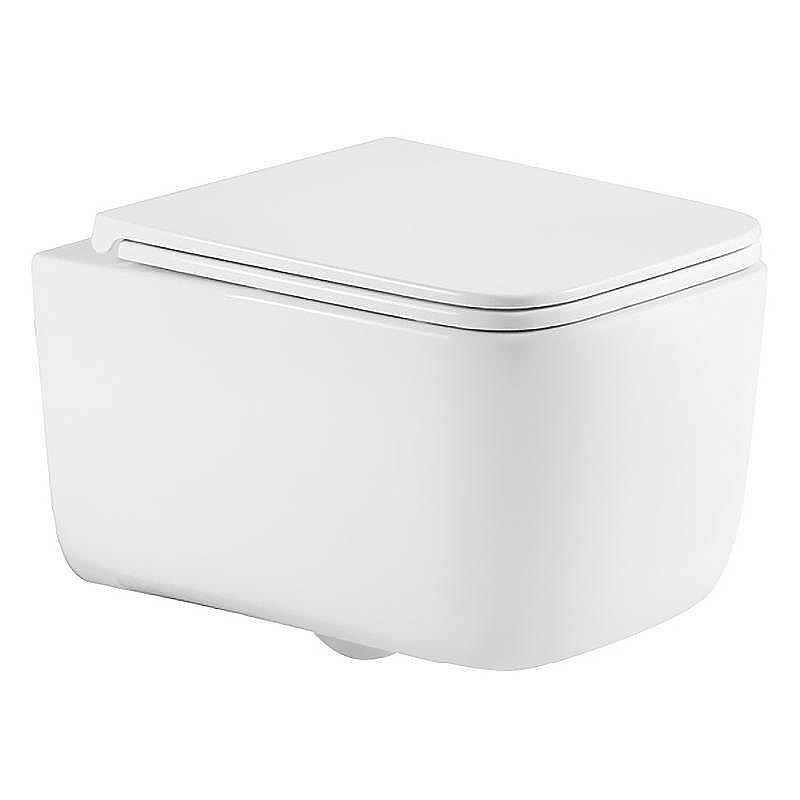 Унитаз Azario Bacio AZ-5103T-WHT подвесной цвет Белый с сиденьем Микролифт