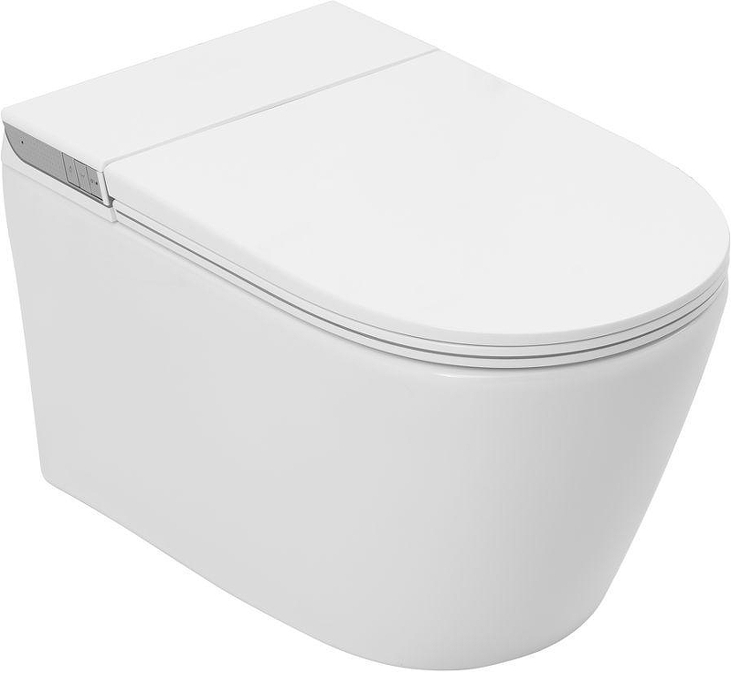 Унитаз биде Allen Brau Smart 4.I1001.20 подвесной цвет Белый с сиденьем Микролифт