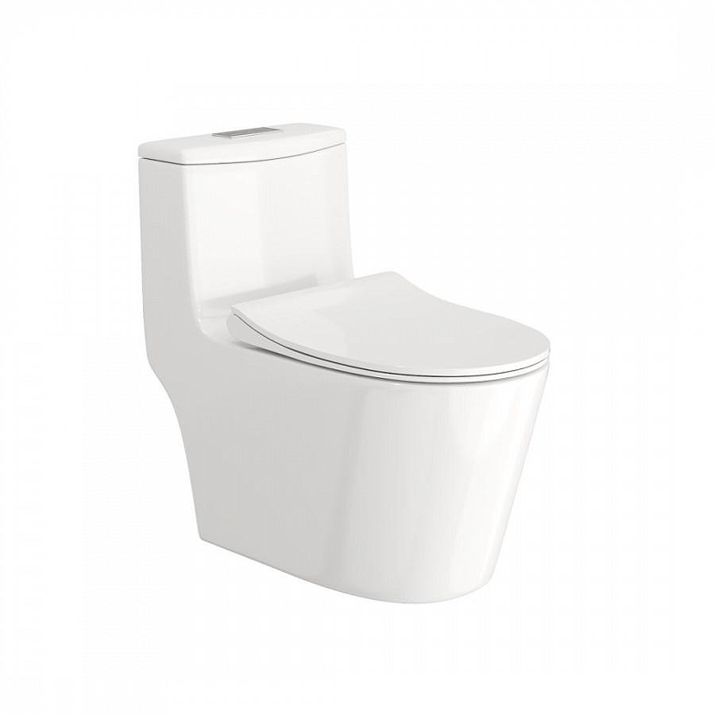 Унитаз моноблок Maretti Florenza FL10MNBM17-844 цвет Белый с сиденьем Микролифт