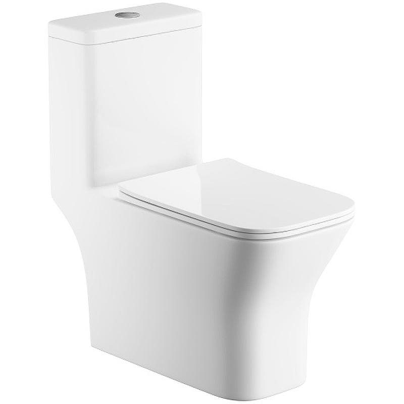 Унитаз моноблок Royce Smart RCT-133004WH с сиденьем Микролифт