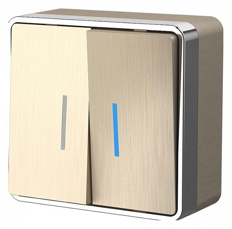 Выключатель двухклавишный с подсветкой Werkel Gallant (шампань рифленый) W5020110 цвет Бежевый
