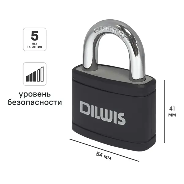 Замок навесной DILWIS 41x54 мм чугун